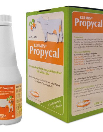 BERGO KULMIN PROPYCAL (4*500ml)